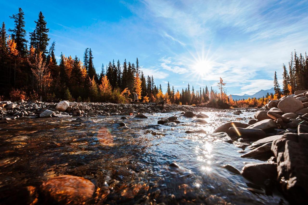 Rock Lake Lodge Provincial Park Rocky Mountain Escape Dome & Log Cabin Rentals - Rock Lake מראה חיצוני תמונה
